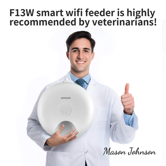 Donut Frost WiFi 6 Meal Automatic Cat Food Dispenser