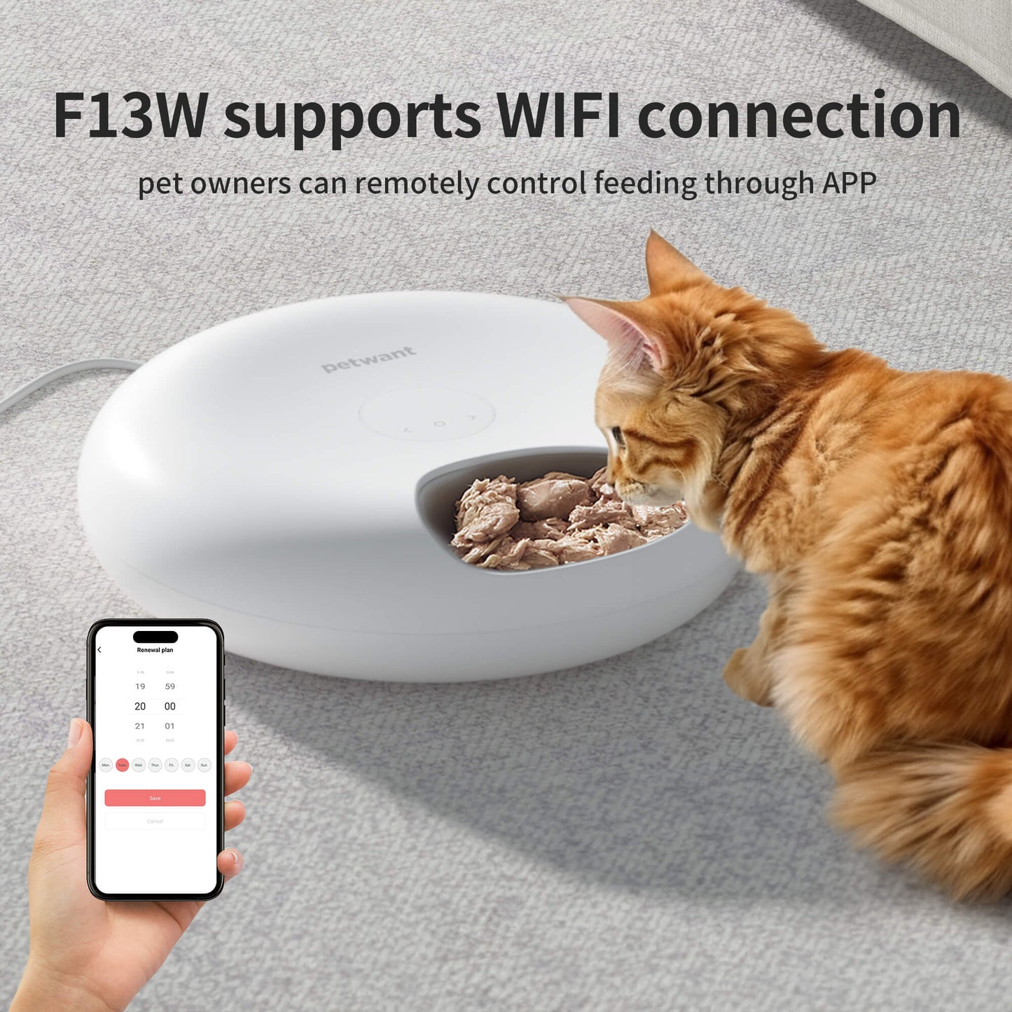 Donut Frost WiFi 6 Meal Automatic Cat Food Dispenser
