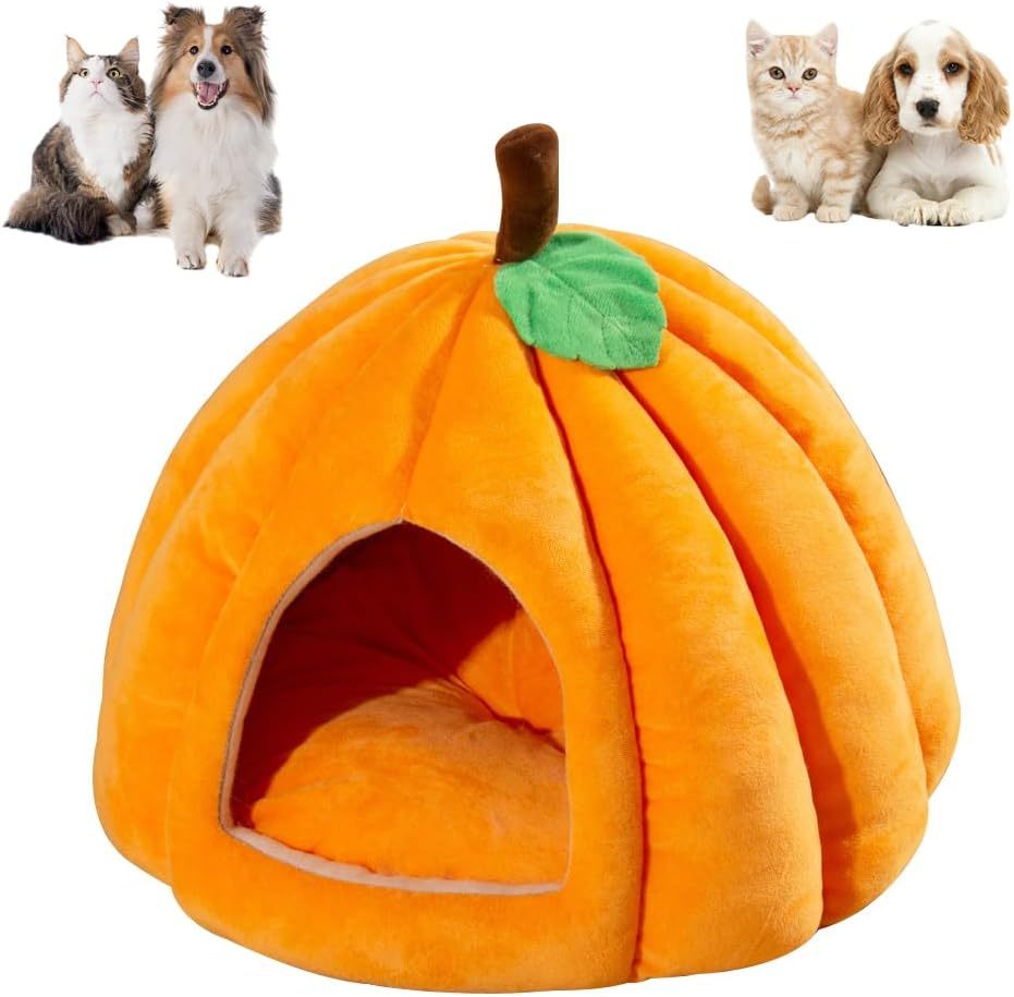 New Pumpkin Cat Bed Cat Beds For Indoor Cats Cute Pumpkin