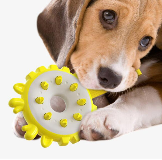 Training Bite Resistance Molars Toy Ring Dog Toothbrush