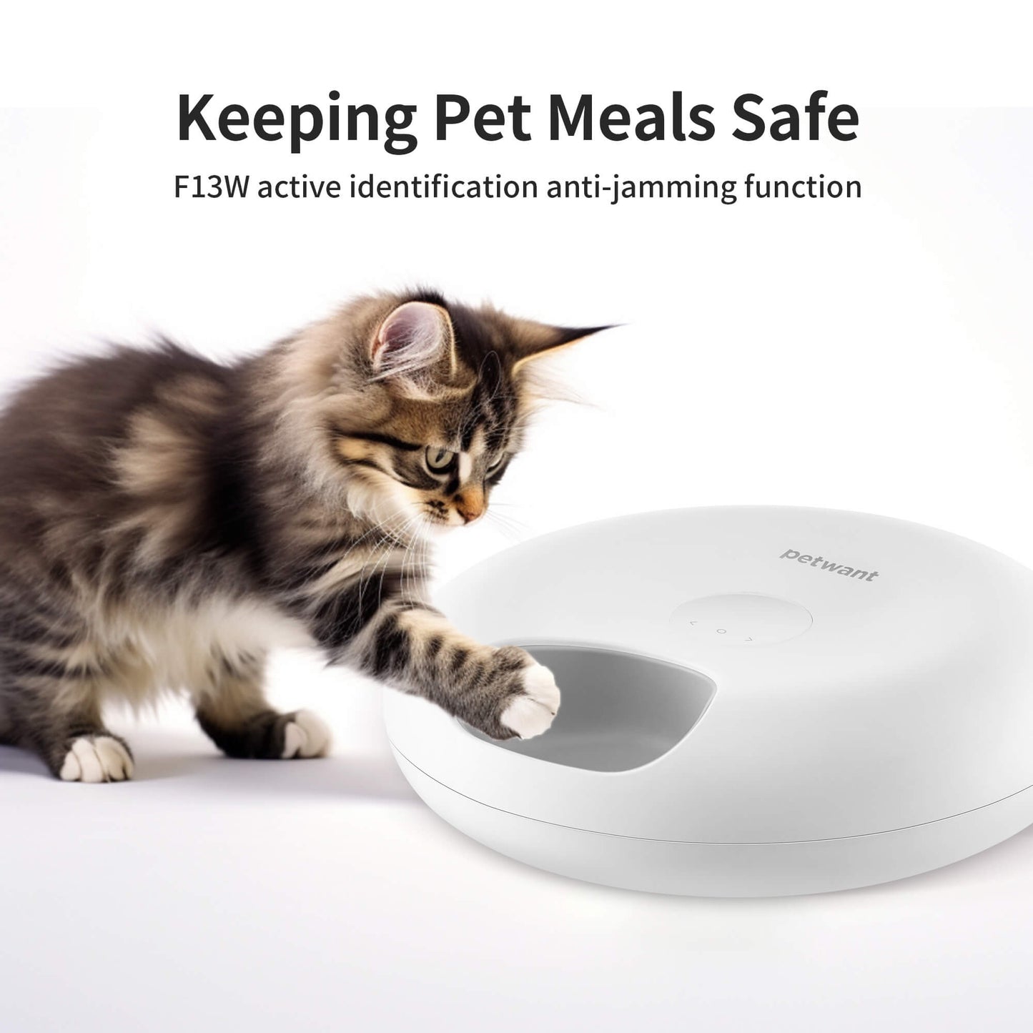 Donut Frost WiFi 6 Meal Automatic Cat Food Dispenser