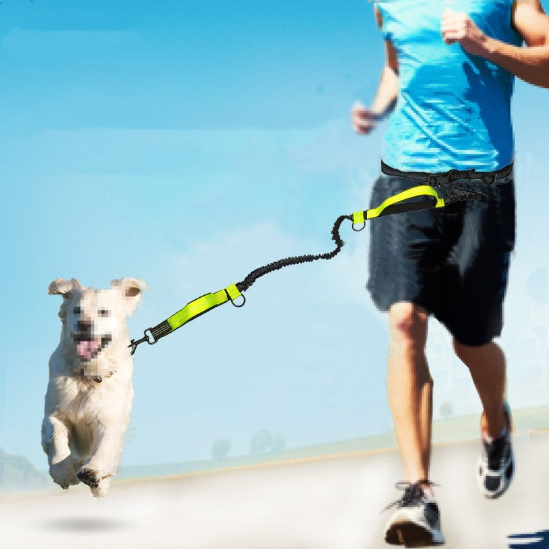 Multifunctional Running Reflective Double Telescopic Dog Leash