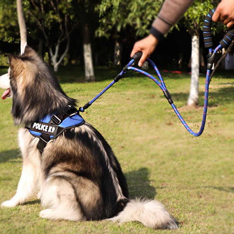 Outdoor Nylon Woven Dog Walking Traction Belt