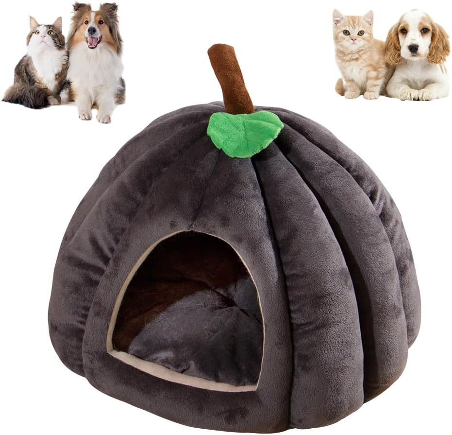 New Pumpkin Cat Bed Cat Beds For Indoor Cats Cute Pumpkin