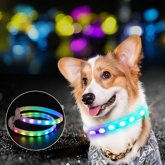 USB Rechargeable Pet Dog LED Glowing Collar Pet Luminous