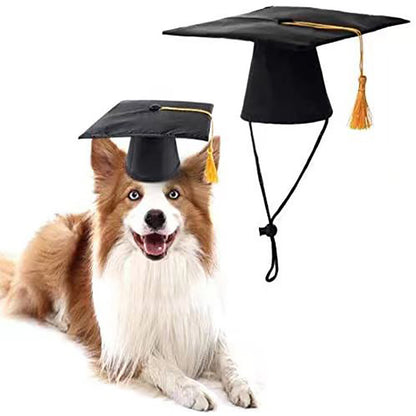 Dog Tassel Doctorial Hat Party Supplies Pet Hat