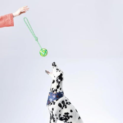 Dog Ball On Rope Dog Toy For Medium Small Dog Interactive