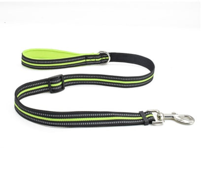 Dog Leash Nylon Leash Assisted Retractable