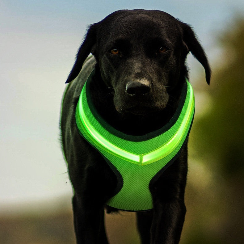 LED Luminous Dog Harness Led USB Charging Dog Chest Strap