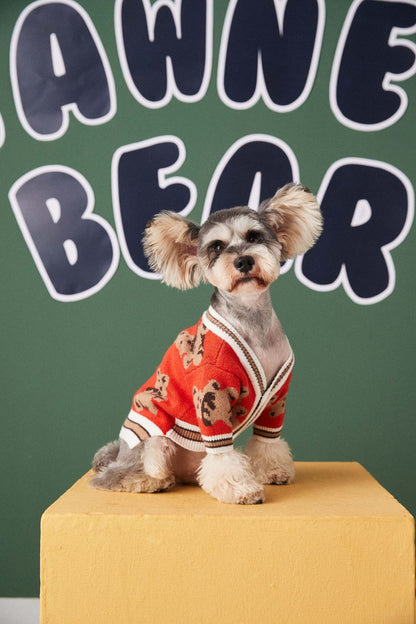 Dog Cat Sweater Preppy Style V-neck Striped Vest