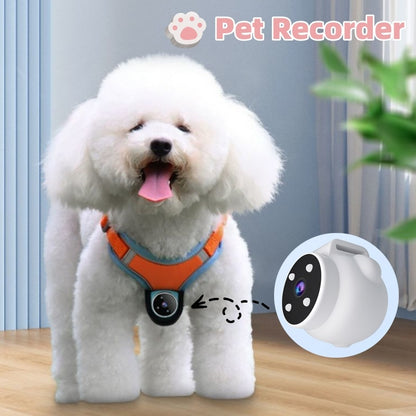 Pets Recorder Pet Tracker Collar Dogs And Cats Viewing Angle Motion