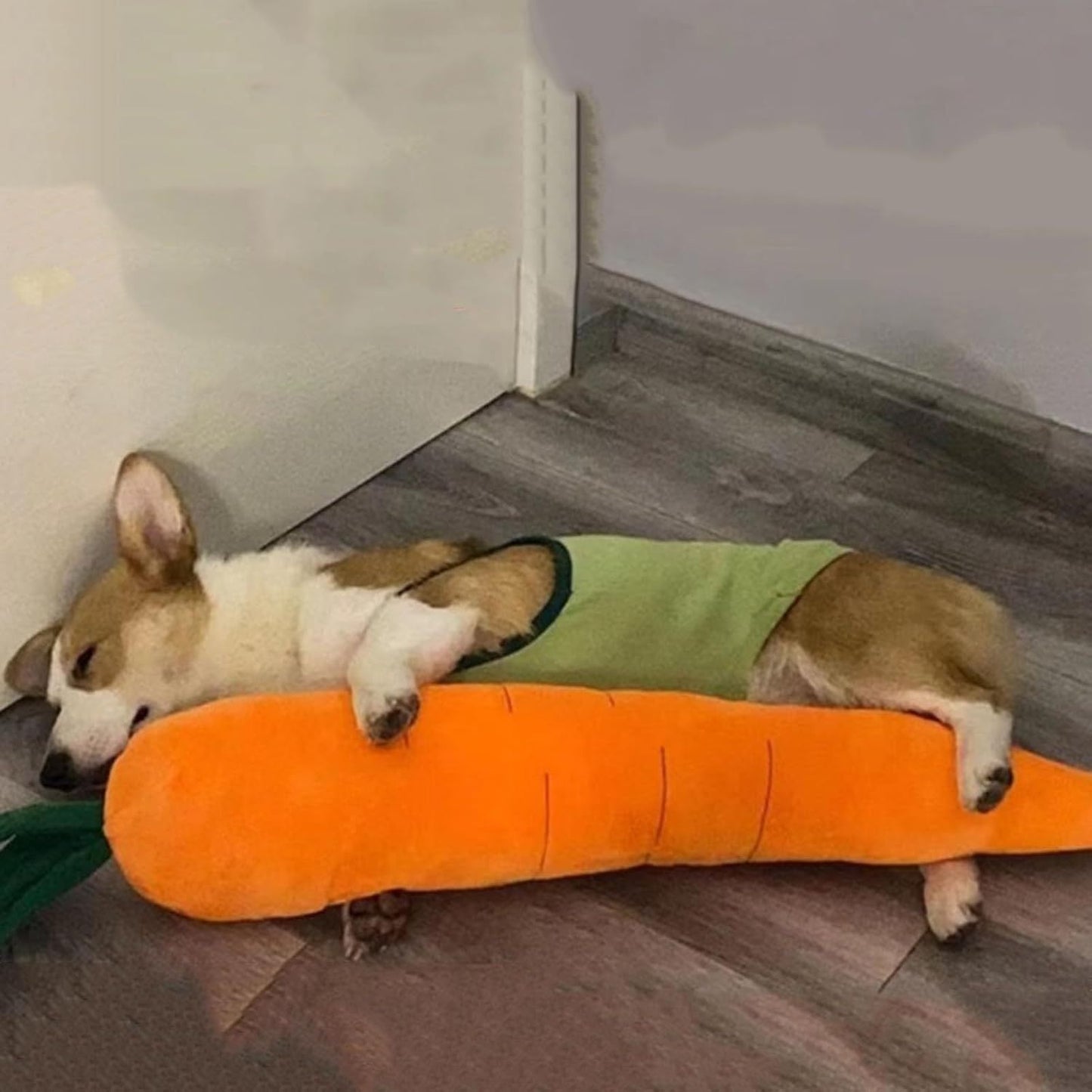 Cute Carrot With Soft Squeaker Carrot Shape Pet Plush Toy