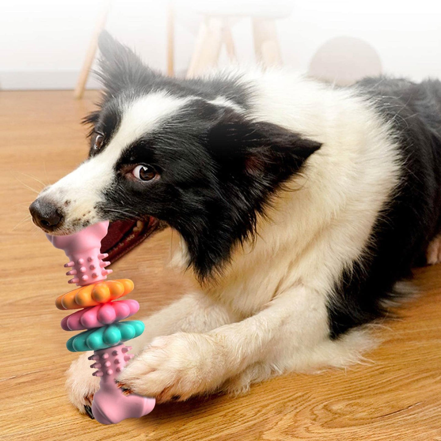 Dog Chew Toy Dog Bone Type  Dogs Teeth Cleaning Toys Indestructible
