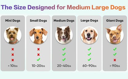 Interactive Dog Toys Ball, Automatic Rolling Toy, Lively Pet Ball