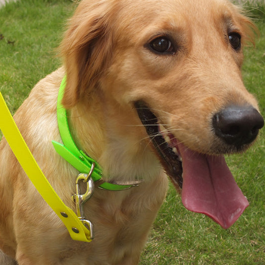 Collars Dirty-resistant Collars Dog Pens Pets