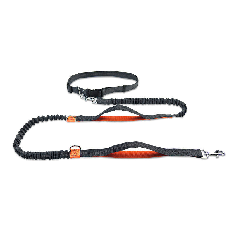 Multifunctional Running Reflective Double Telescopic Dog Leash