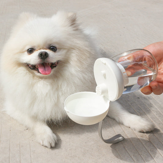 Foldable And Portable Pet Cat And Dog Outdoor Drinking Glass Pet Products