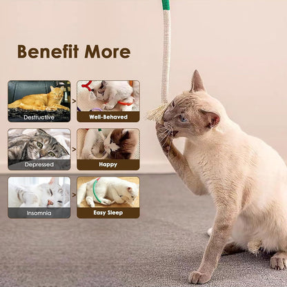 Cotton Rope Cat Toys For Indoor Cats Interactive Cat Rope