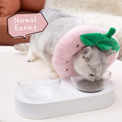 Cute Cat Collar Cone For Recovery After Surgery
