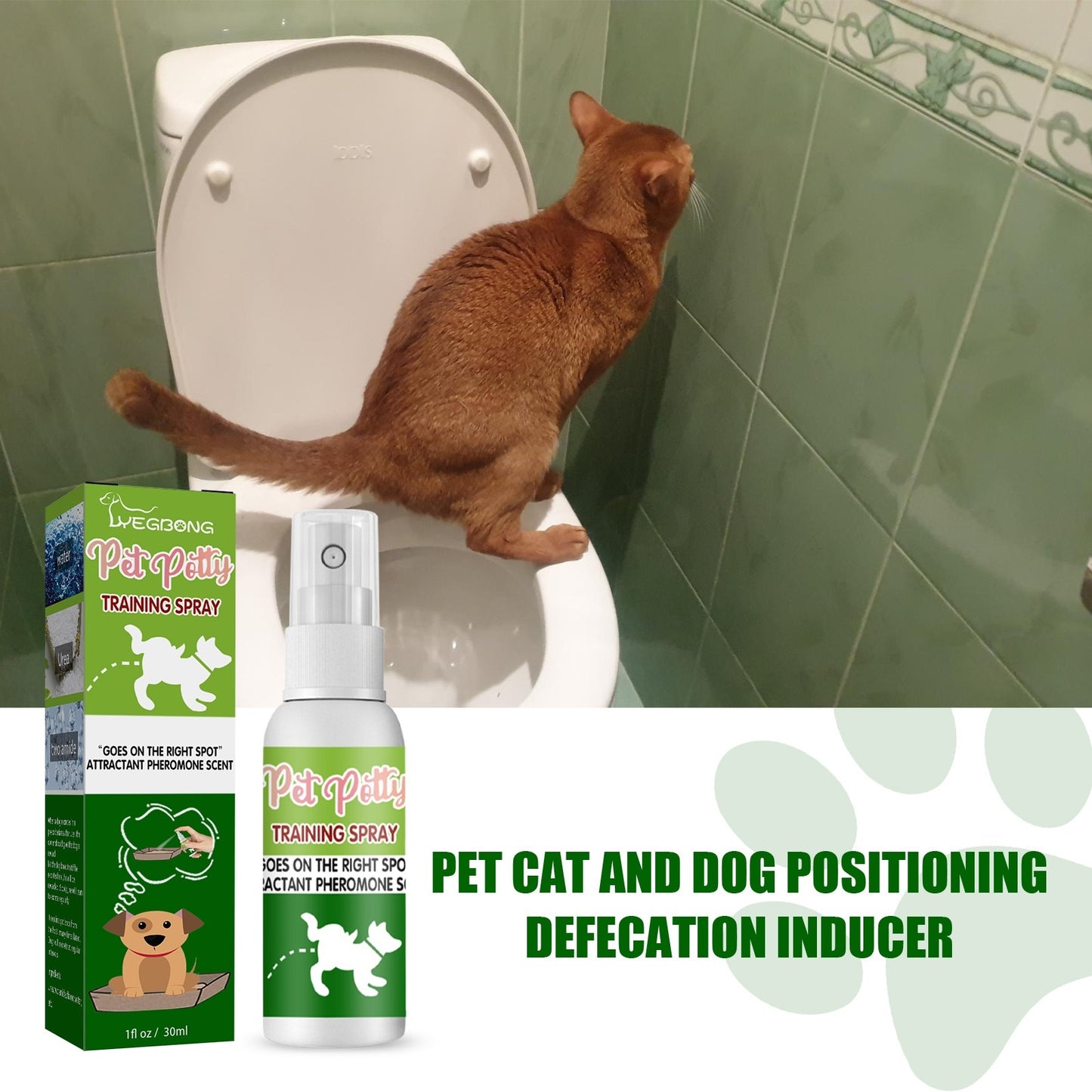 Pet Targeted Defecation Inducer Auxiliary Training Pet