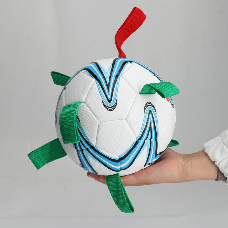 New Pet Training With Rope Football