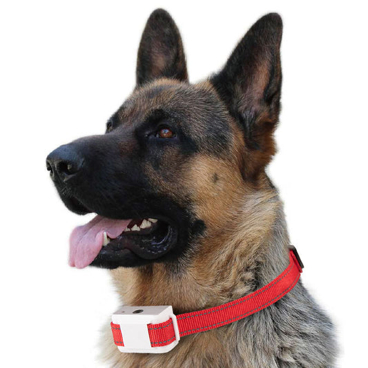 Pet Smart Dog Barking Prevention Automatic Bark Stopper Collar
