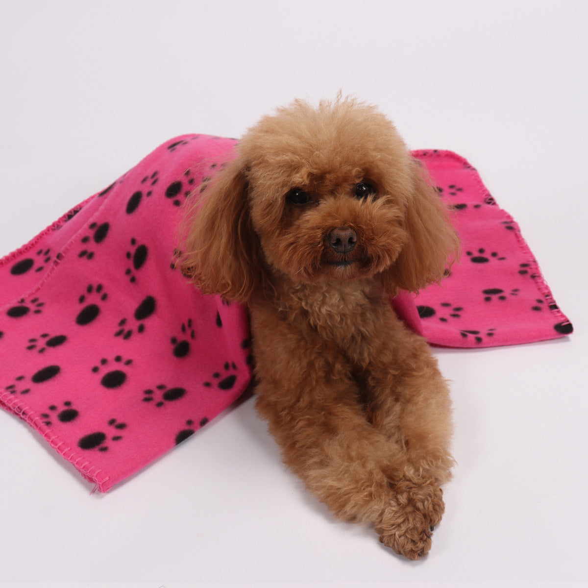 Dog Double-sided Fleece Blanket Warm Pet Blanket Cat Dog Paw Blanket Mattress Pet Pad