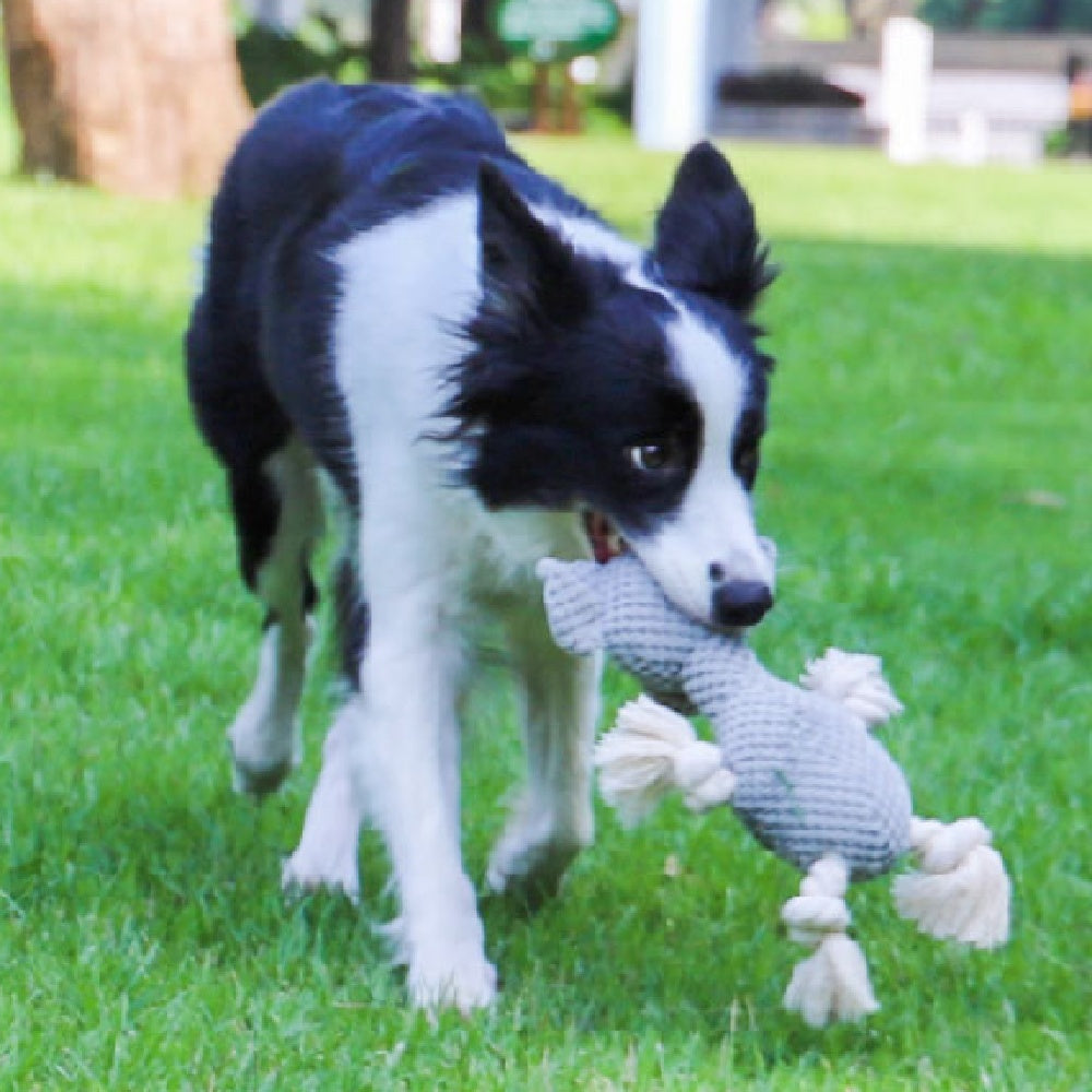 Bite-resistant Interactive Pet Dog Toy