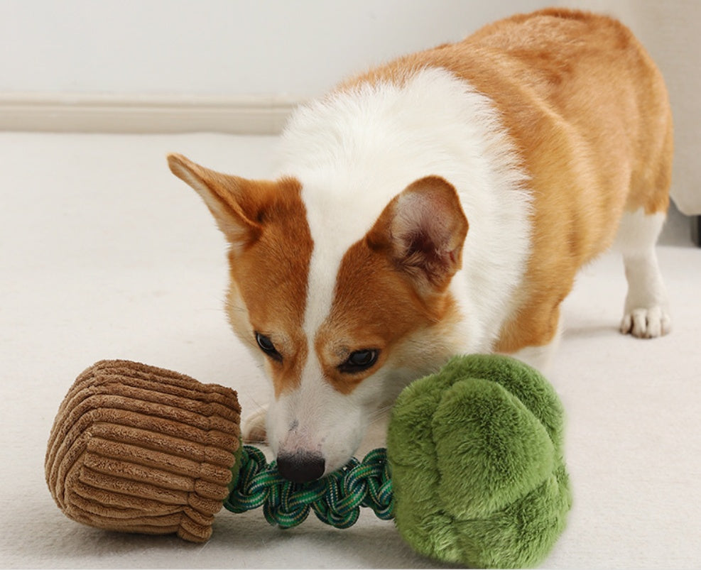 Pet Dog Bite-resistant Cord Teether Knot Toy