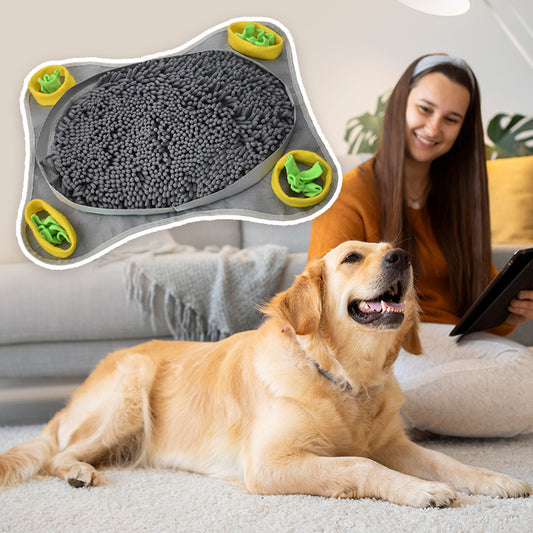 Dogs Snuffle Mat Pet Leak Food Anti Choking Mat