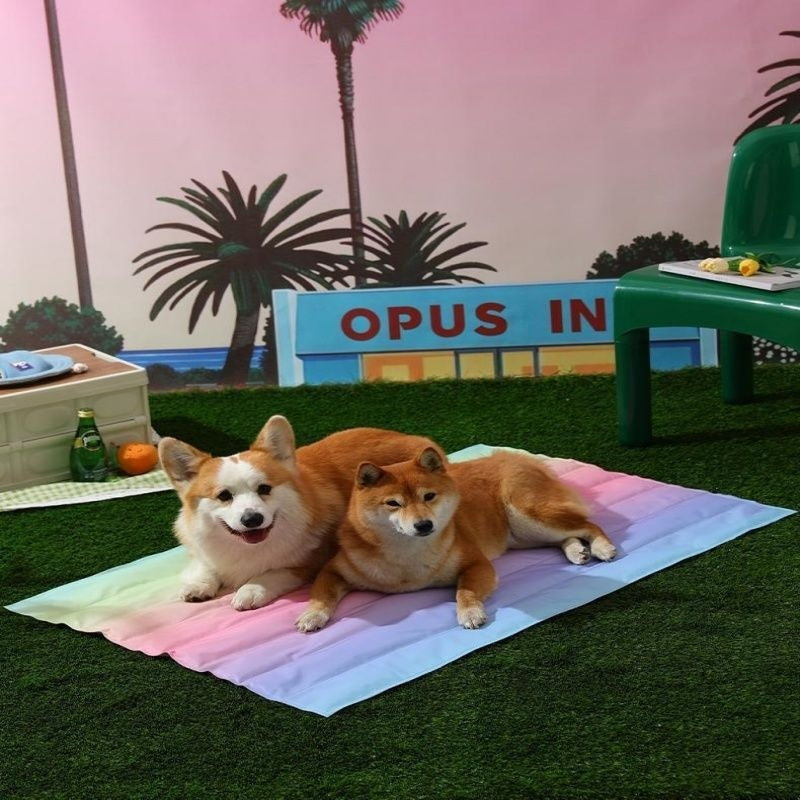 Pet Ice Mat Dog Mat Summer For Sleeping