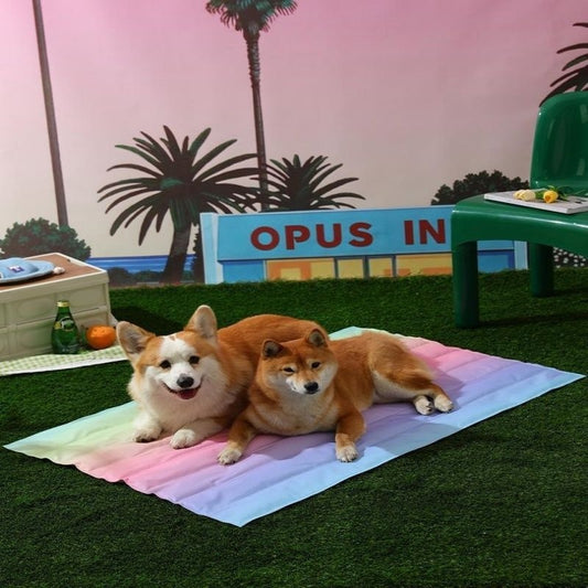 Pet Ice Mat Dog Mat Summer For Sleeping