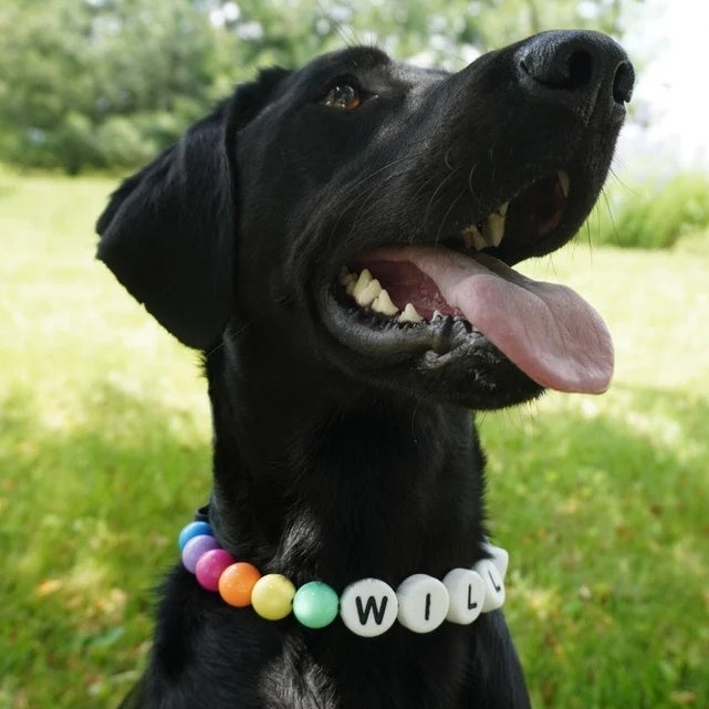 Pet Beaded Name Collar With Bracelet Set Custom Dog Collar