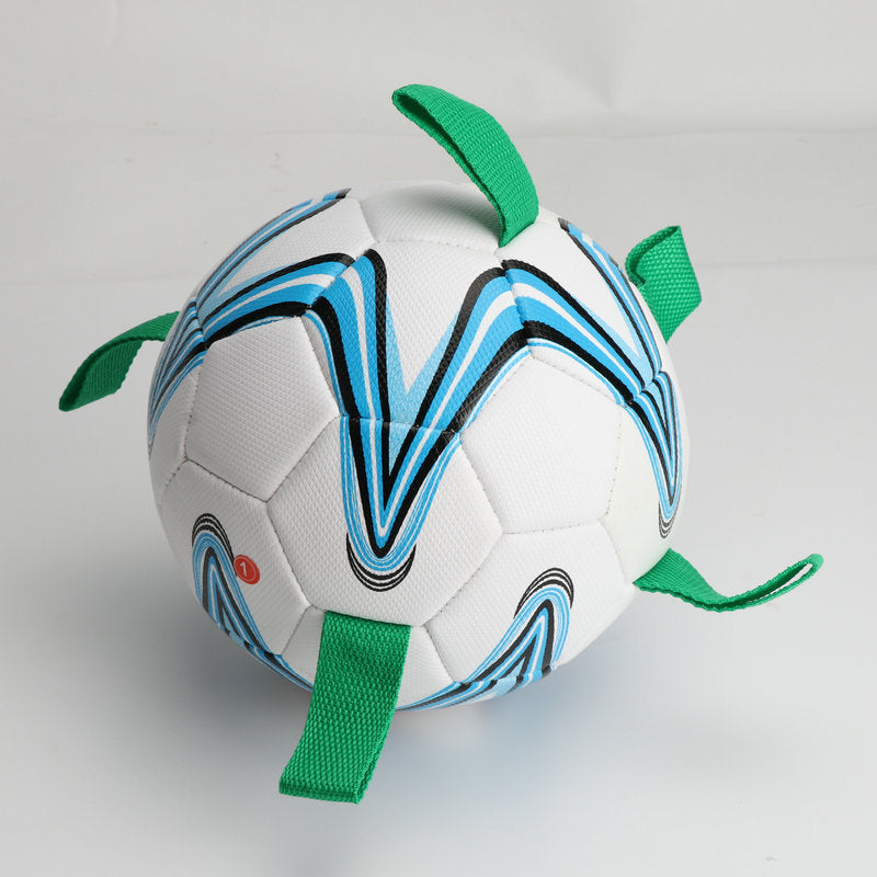 New Pet Training With Rope Football