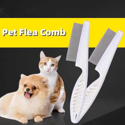 Dog Cat Going To Flea Comb