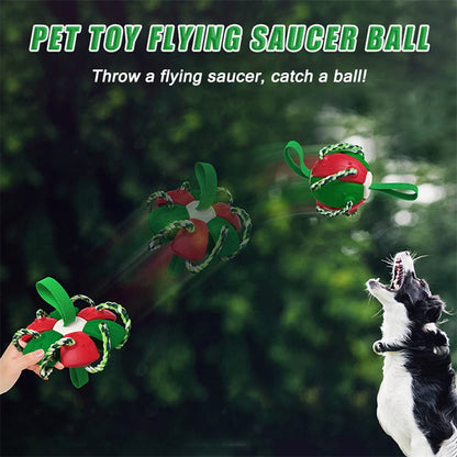 Interactive Dog Football Soccer Ball With Tabs Inflated Training Toy