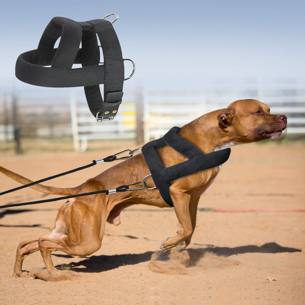 Dog Weight Pulling Harness Soft Padded Dogs Harnesses Pitbul