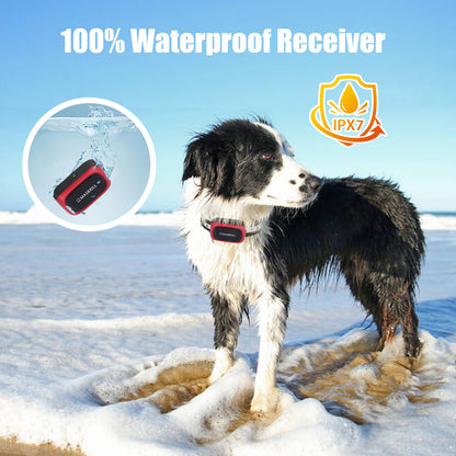 Dog Training Collar Light Waterproof Anti Bark Control Rechargeable