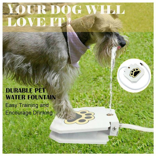 Best Automatic Water Fountain Outdoor Without Electricity For Dogs Drinking