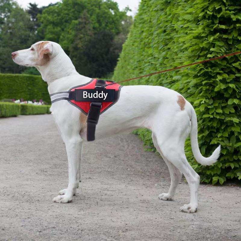 Best NO PULL Reflective Breathable Adjustable Dog Vest Harness Dogs Training