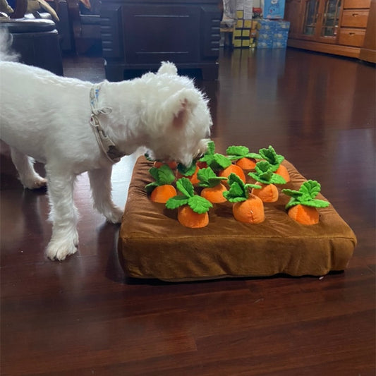 Pet Toys Carrot Plush Toy Vegetable Chew