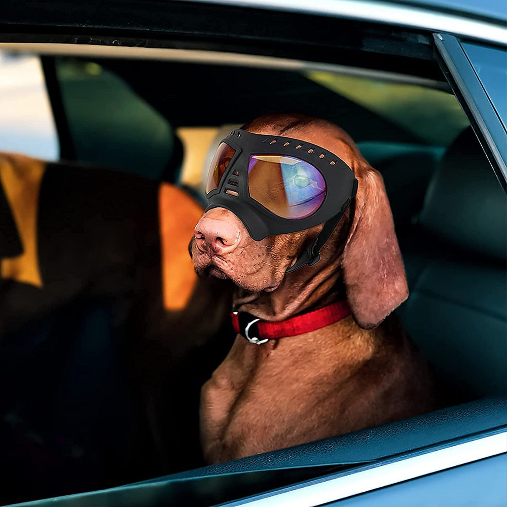 Best Dog Goggles Windproof Pet Eye Wear UV Protection Sun Glasses