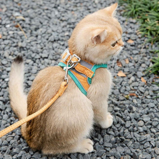 Best Cat Dog Vest Harness With Leash Set Reflective Strip Quick Release