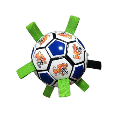 Best Dog Toys Interactive Football Toys Outdoor Training Soccer Chew Toy