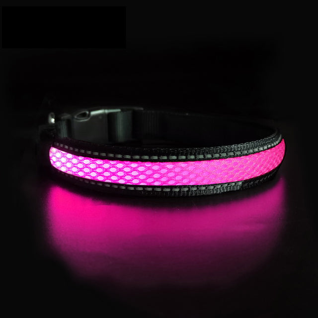 LED Dog Collar Luminous Products Safety Stylish