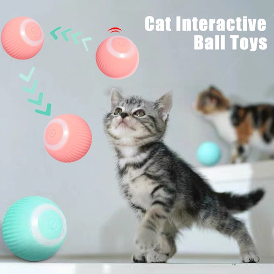 Best Electric Cat and Dog Toys Smart Self Rolling Ball Interactive Toys