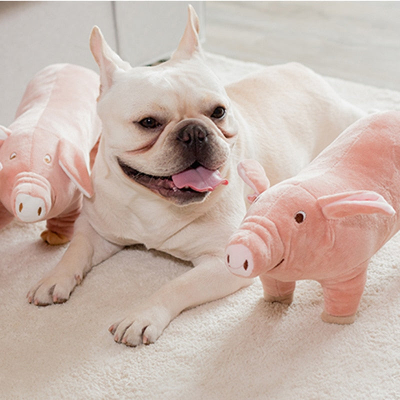 Plush Pig Pet Sleeping Toys