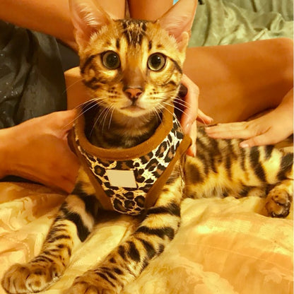 Leopard Dog Harness Vest