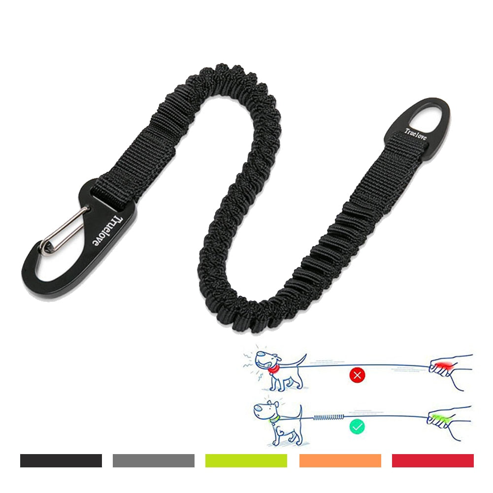 Buffer Bungee Dog Leash for Outdoor