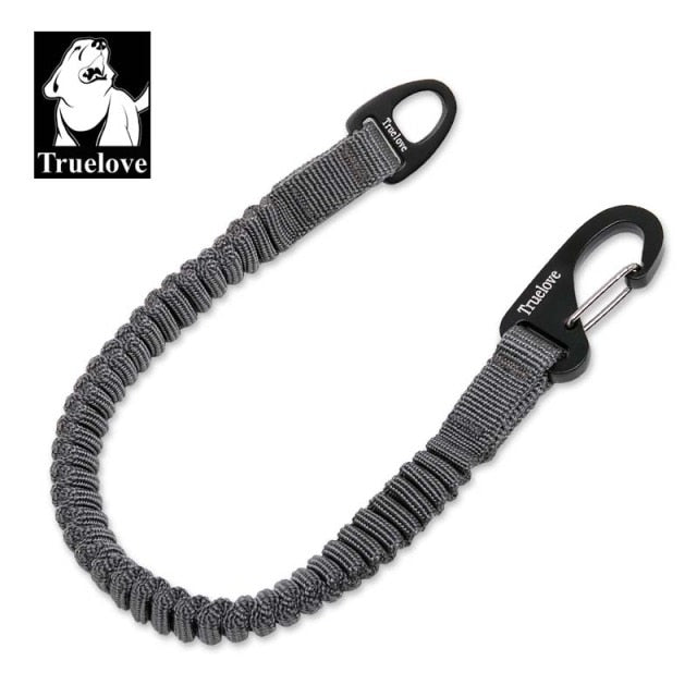 Buffer Bungee Dog Leash for Outdoor